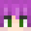 Head Minecraft itsgavinnnn_